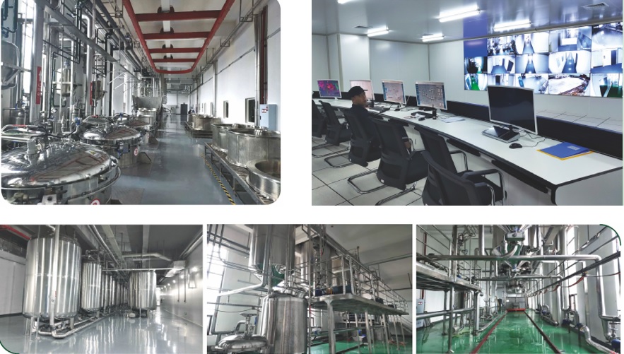 J9集团|国际站官网